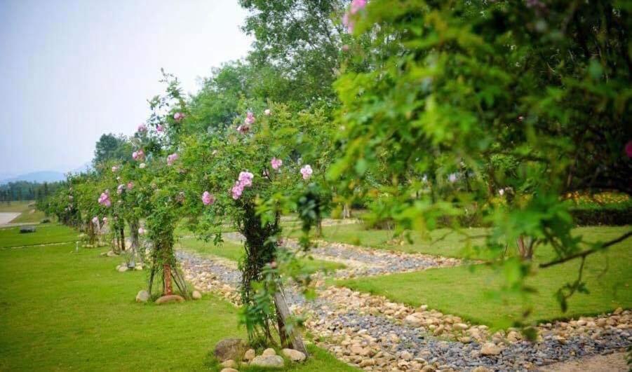 Flamingos Dai Lai Resort - Luxury Ngoc Quang Екстер'єр фото