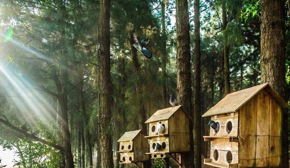 Flamingos Dai Lai Resort - Luxury Ngoc Quang Екстер'єр фото